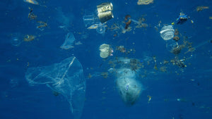 The impact of plastic pollution on our oceans - Komrads