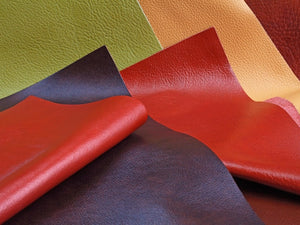 Photo of apple leather
